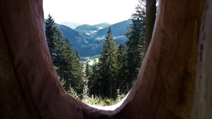 Bildergalerie