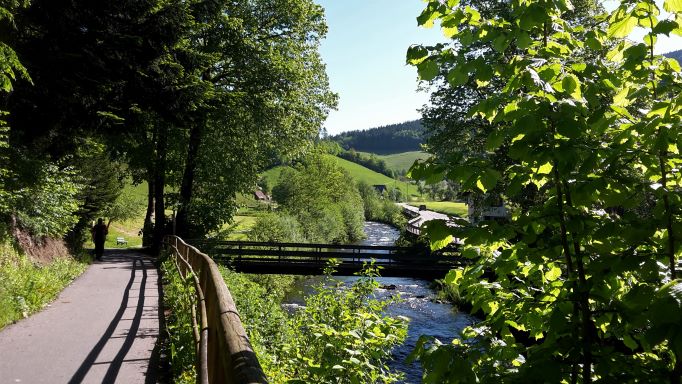 Bildergalerie