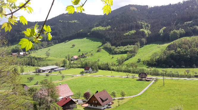 Blick vom Guck-a'-mol-Wegle über's Mitteltal