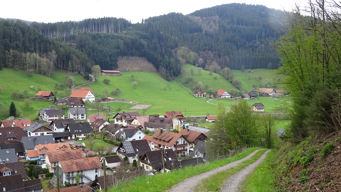 Wanderweg oberhalb der Ferienwohnung